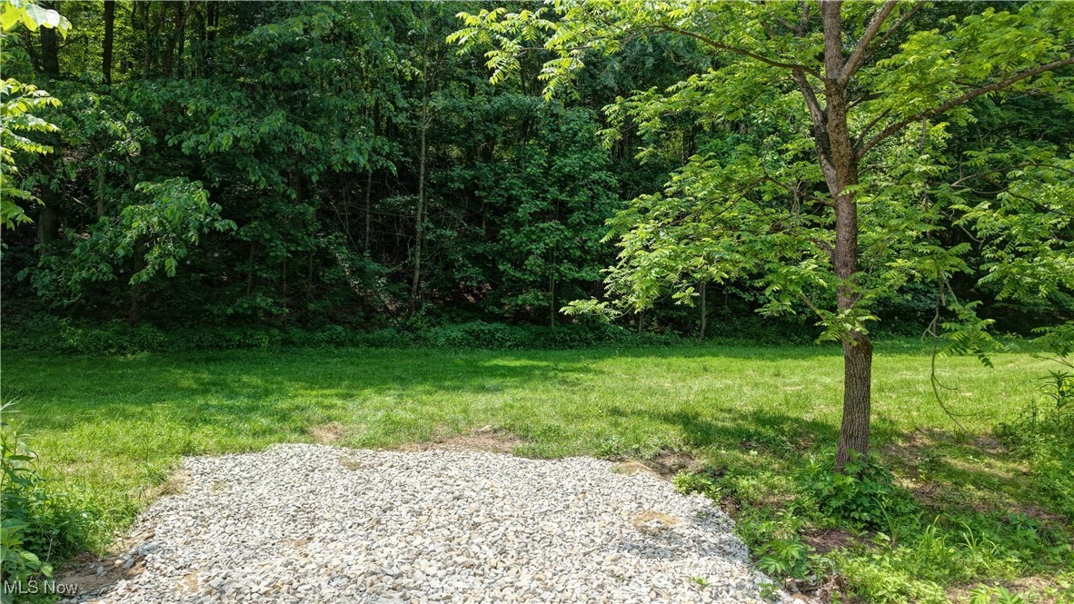View of grassy yard featuring a wooded view