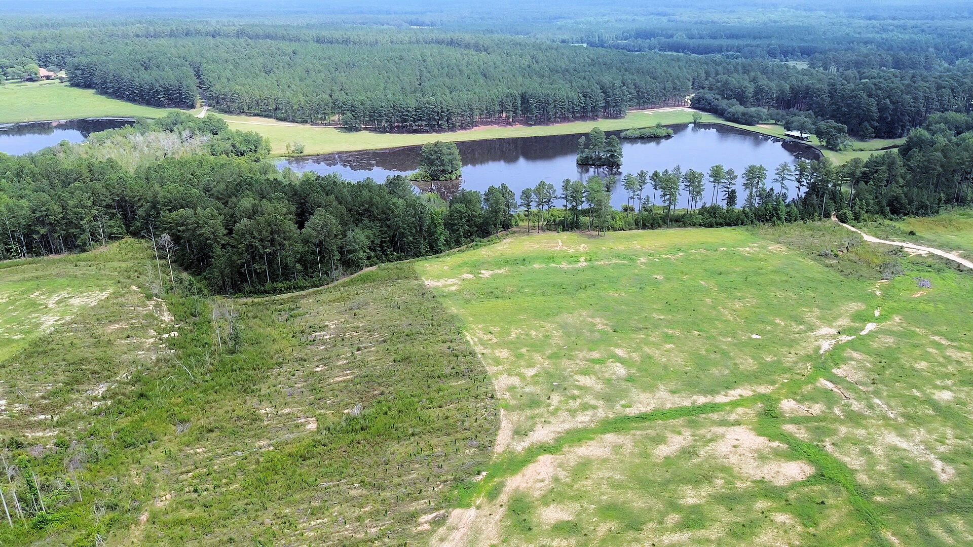 50 Laughlin Loop Aiken, SC 29805 - Photo 1 of 8