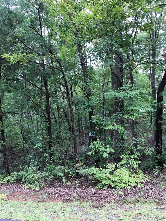 0 River Ridge Parkway, Unit 14 Rutherfordton, NC 28139 - Photo 2 of 5 a view of a forest with trees in the background