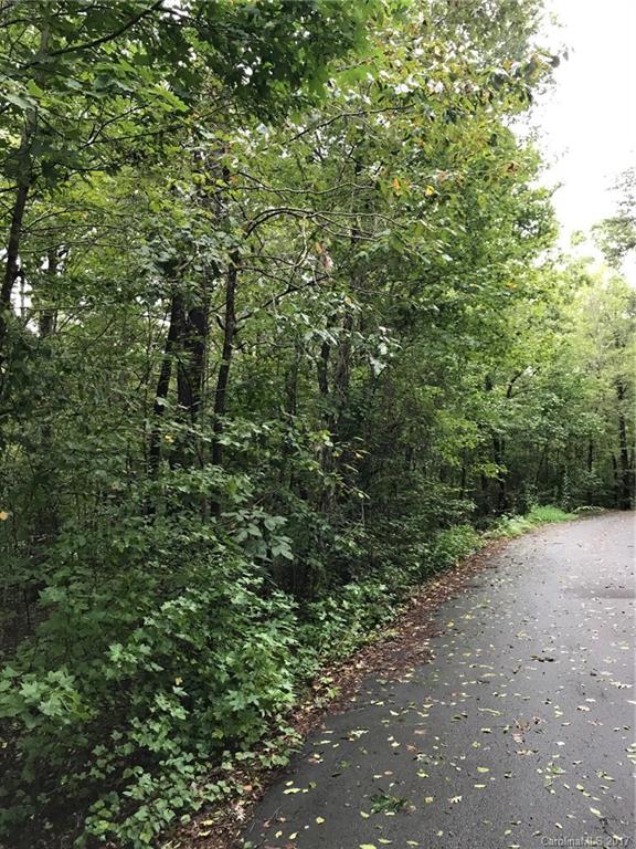 0 River Ridge Parkway, Unit 14 Rutherfordton, NC 28139 - Photo 4 of 5 a view of a yard with a trees