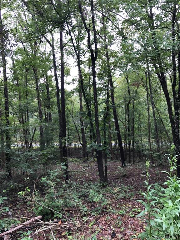 0 River Ridge Parkway, Unit 14 Rutherfordton, NC 28139 - Photo 5 of 5 a view of outdoor space with lots of trees