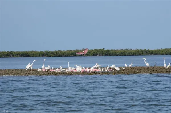 $1,695 | 242 Newport Drive, Unit 504, Naples, FL 34114