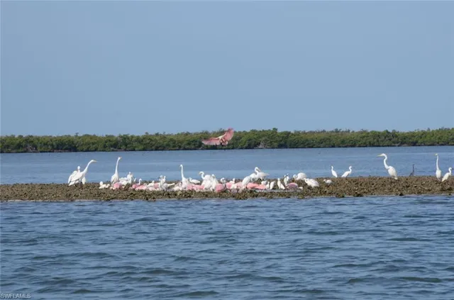 $1,895 | 242 Newport Drive, Unit 504, Naples, FL 34114