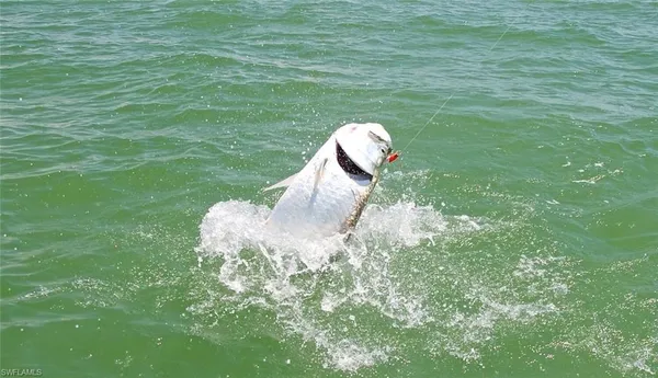 $1,695 | 242 Newport Drive, Unit 504, Naples, FL 34114