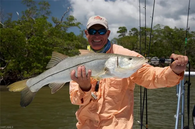 $1,895 | 242 Newport Drive, Unit 504, Naples, FL 34114