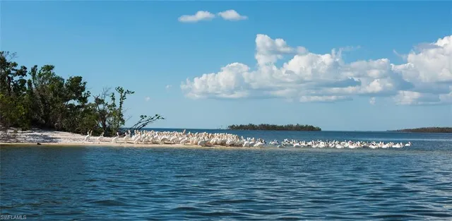 $1,895 | 242 Newport Drive, Unit 504, Naples, FL 34114