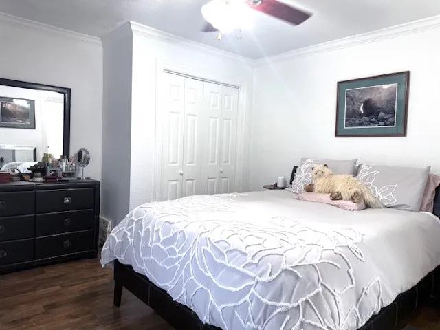 a bedroom with a bed and a dresser