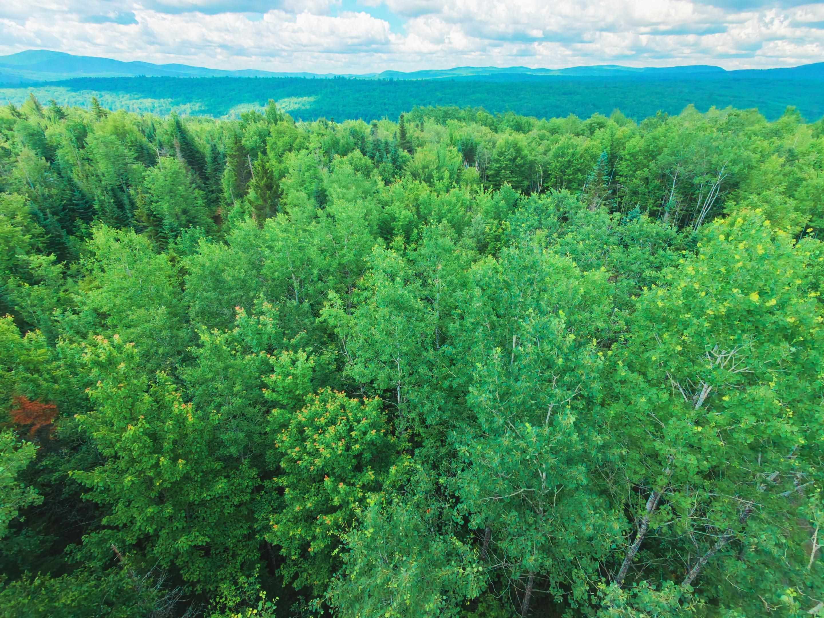 -- Oregon Road Concord, VT 05824 - Photo 2 of 27
