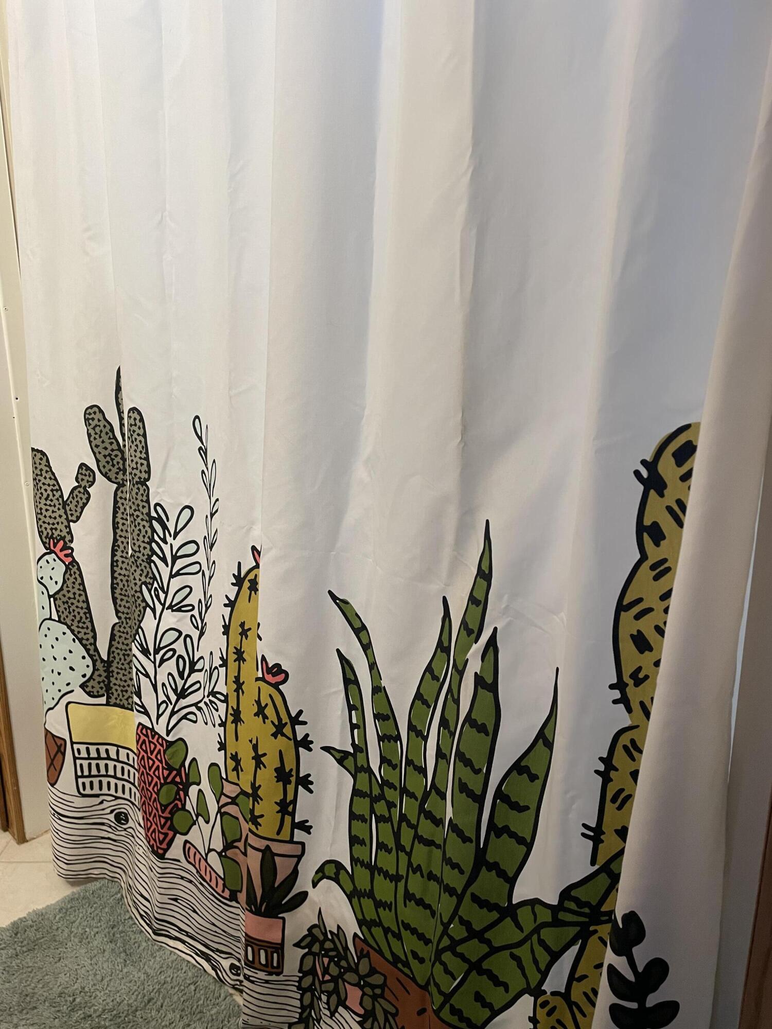 74711 Dillon Road, Unit 711 Desert Hot Springs, CA 92241 - Photo 12 of 35 a view of plant