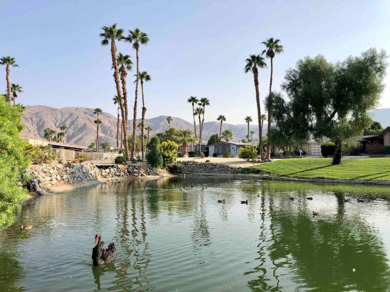 74711 Dillon Road, Unit 711 Desert Hot Springs, CA 92241 - Photo 34 of 35 a view of a lake with boats and palm trees