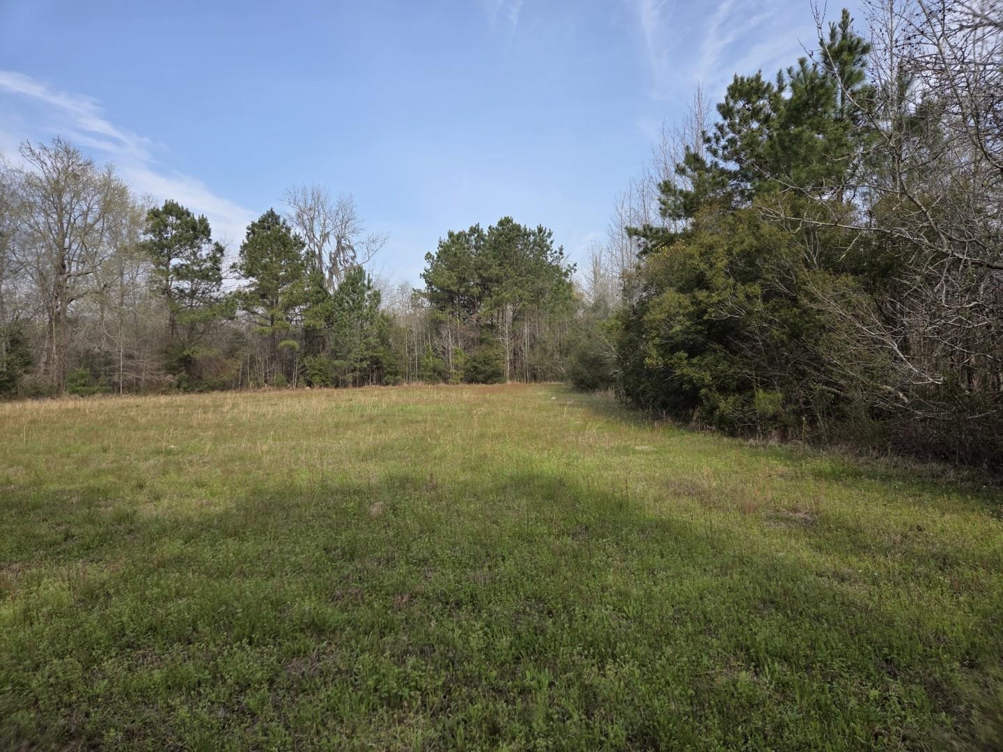 Tbd Hubcap Road Kingstree, SC 29556 - Photo 1 of 5 Gallery Image 1