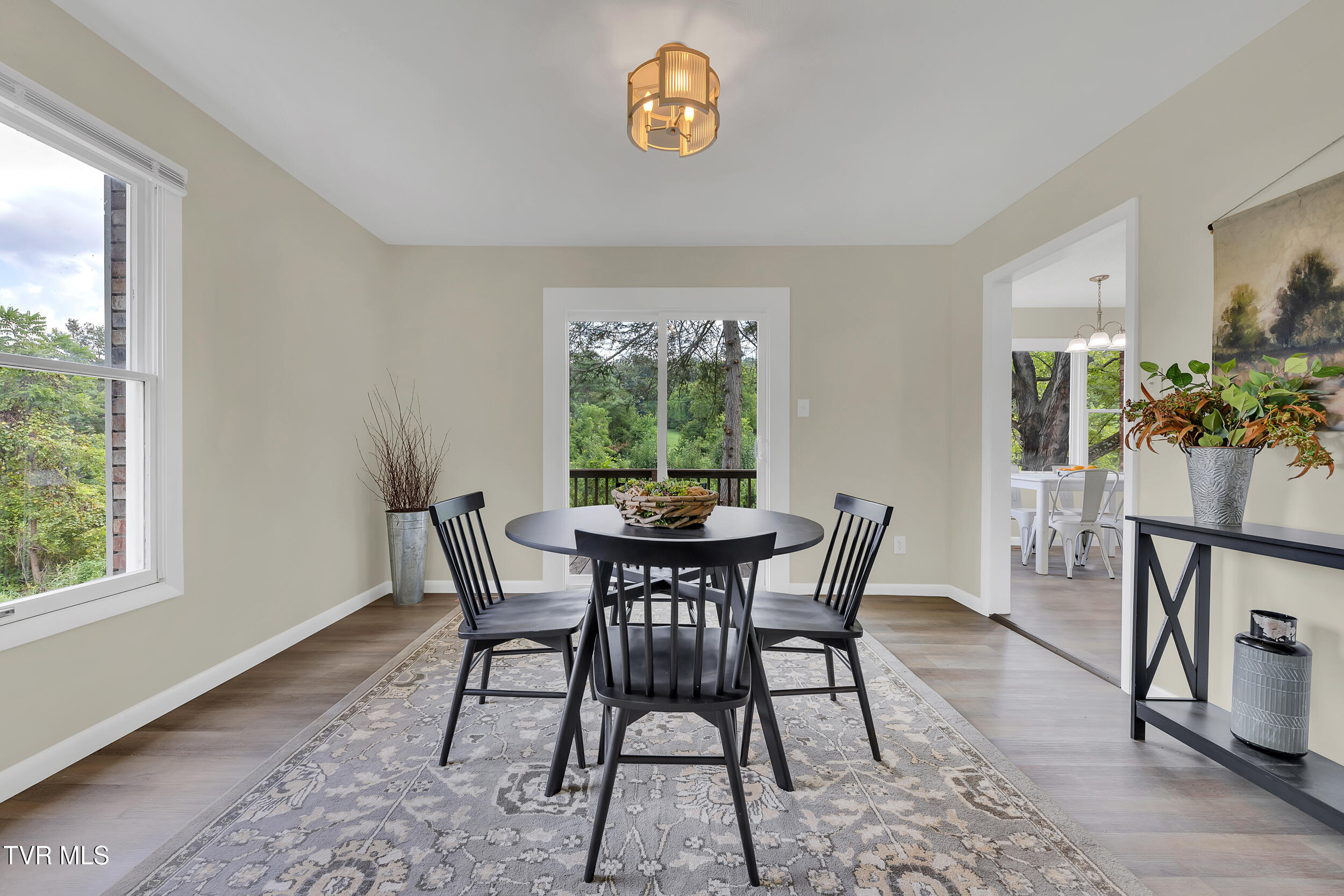 398 Hales Chapel Road Gray, TN 37615 - Photo 13 of 67 13_23