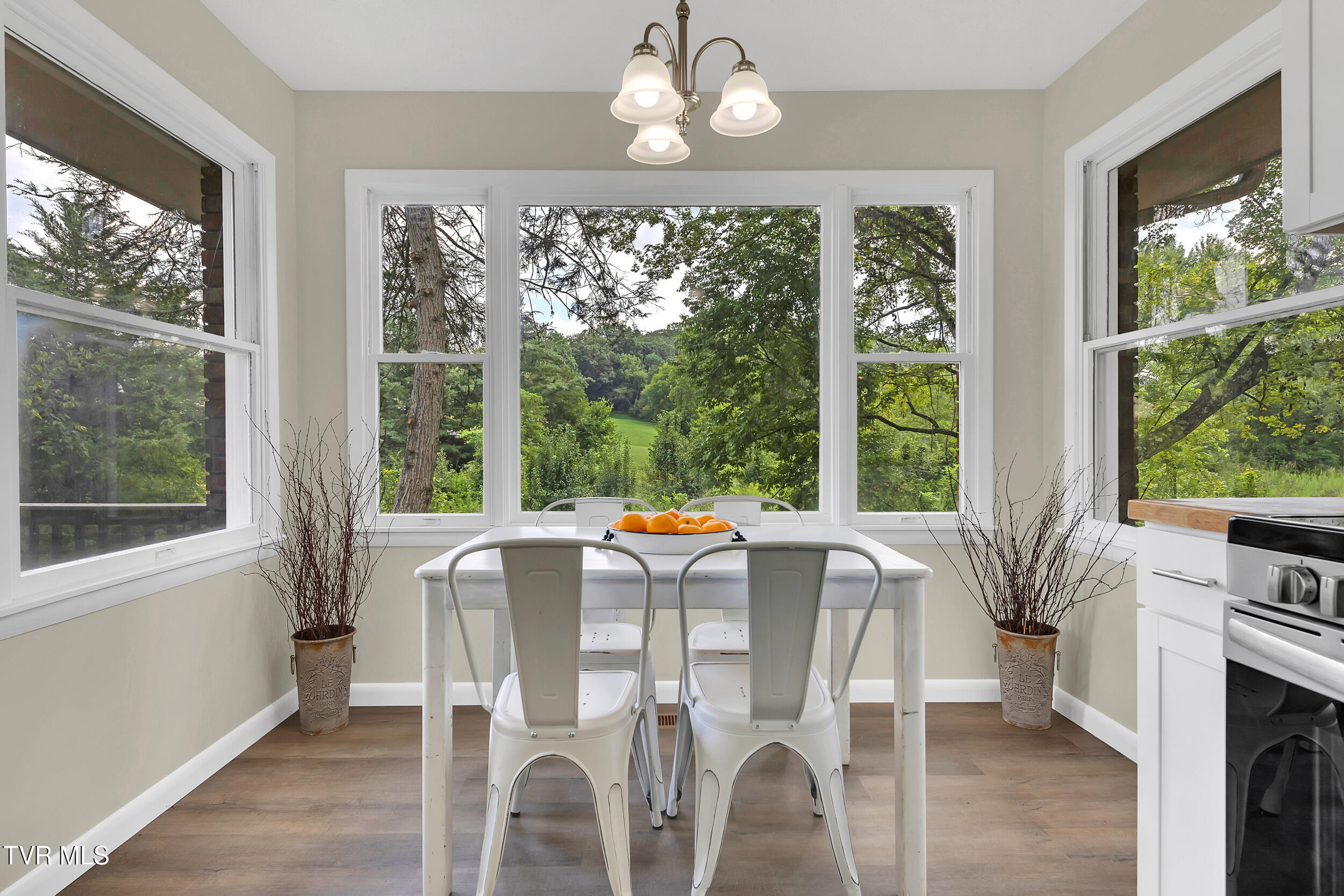 398 Hales Chapel Road Gray, TN 37615 - Photo 16 of 67 16_26