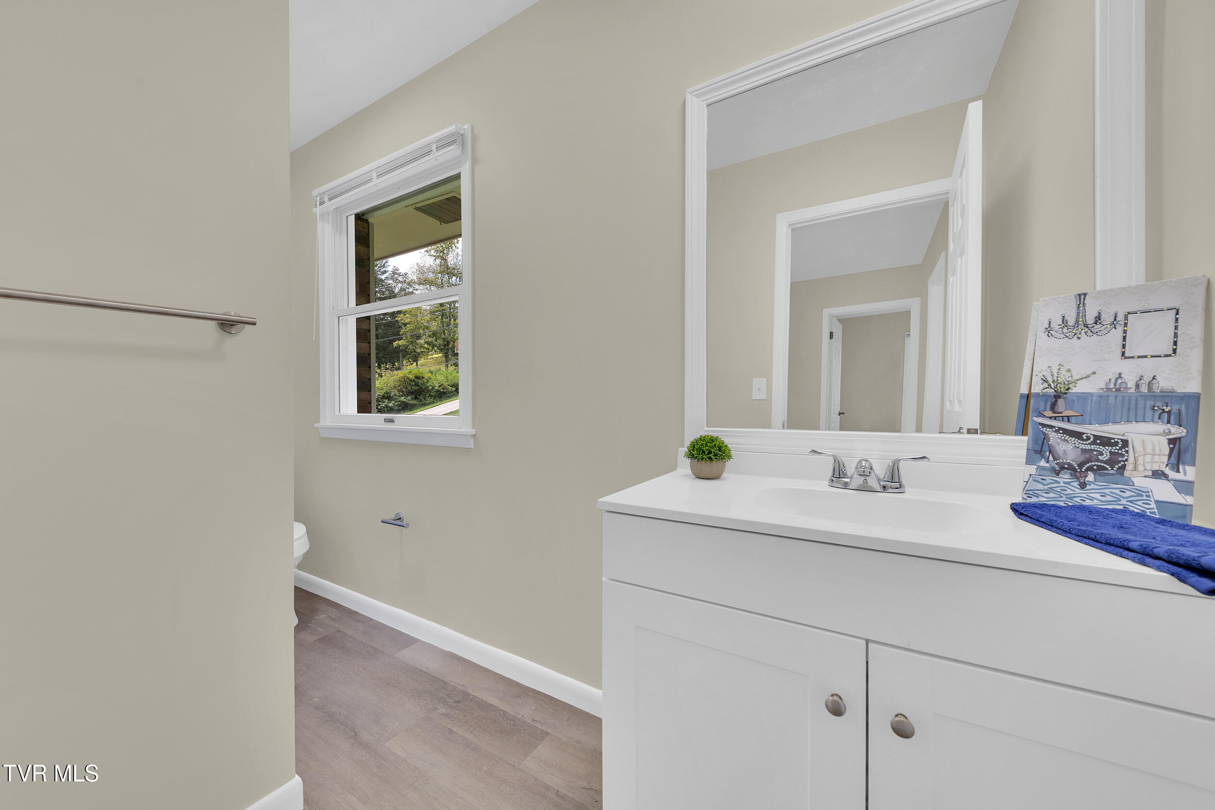 398 Hales Chapel Road Gray, TN 37615 - Photo 32 of 67 32_47