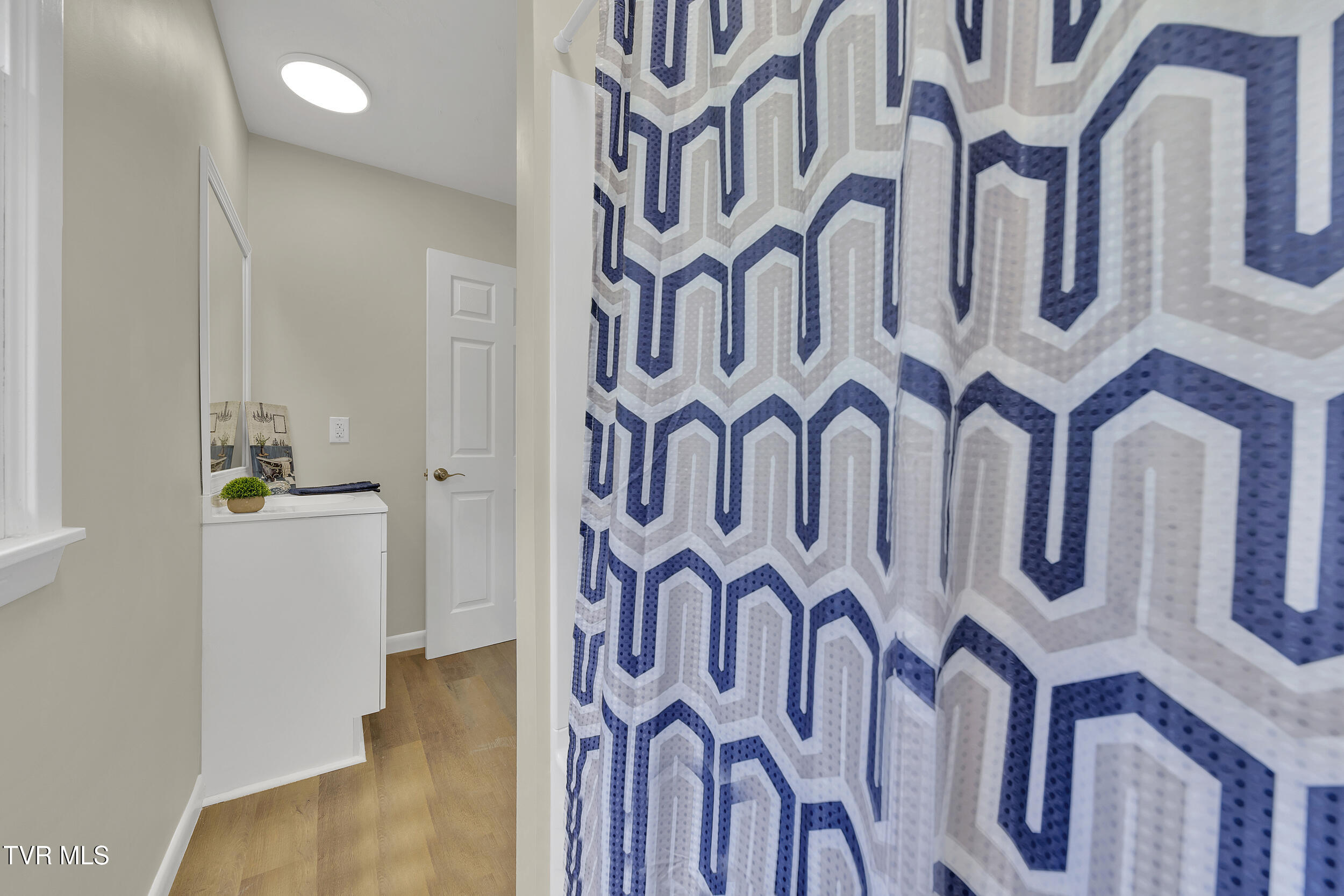 398 Hales Chapel Road Gray, TN 37615 - Photo 33 of 67 33_48