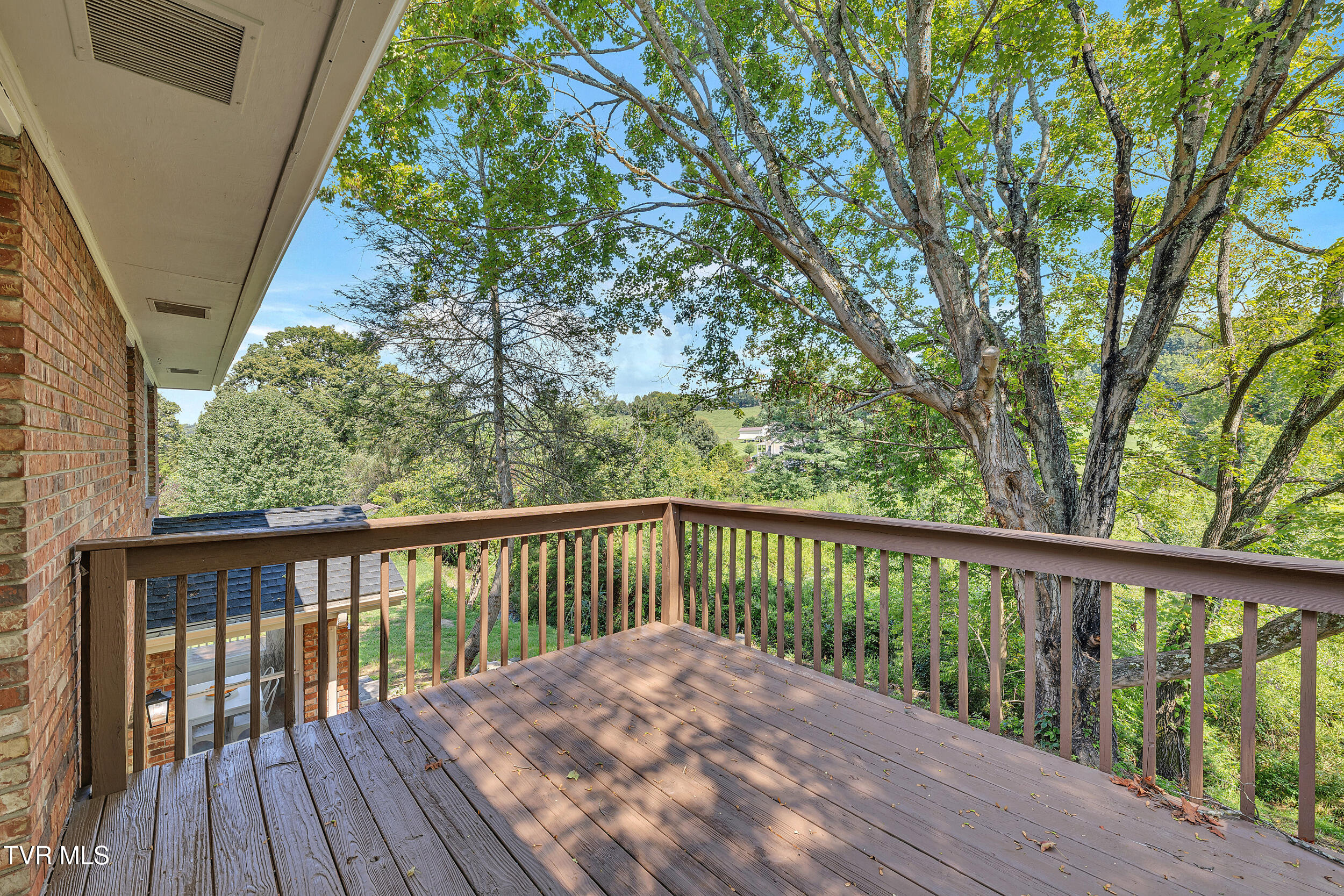 398 Hales Chapel Road Gray, TN 37615 - Photo 52 of 67 52_60