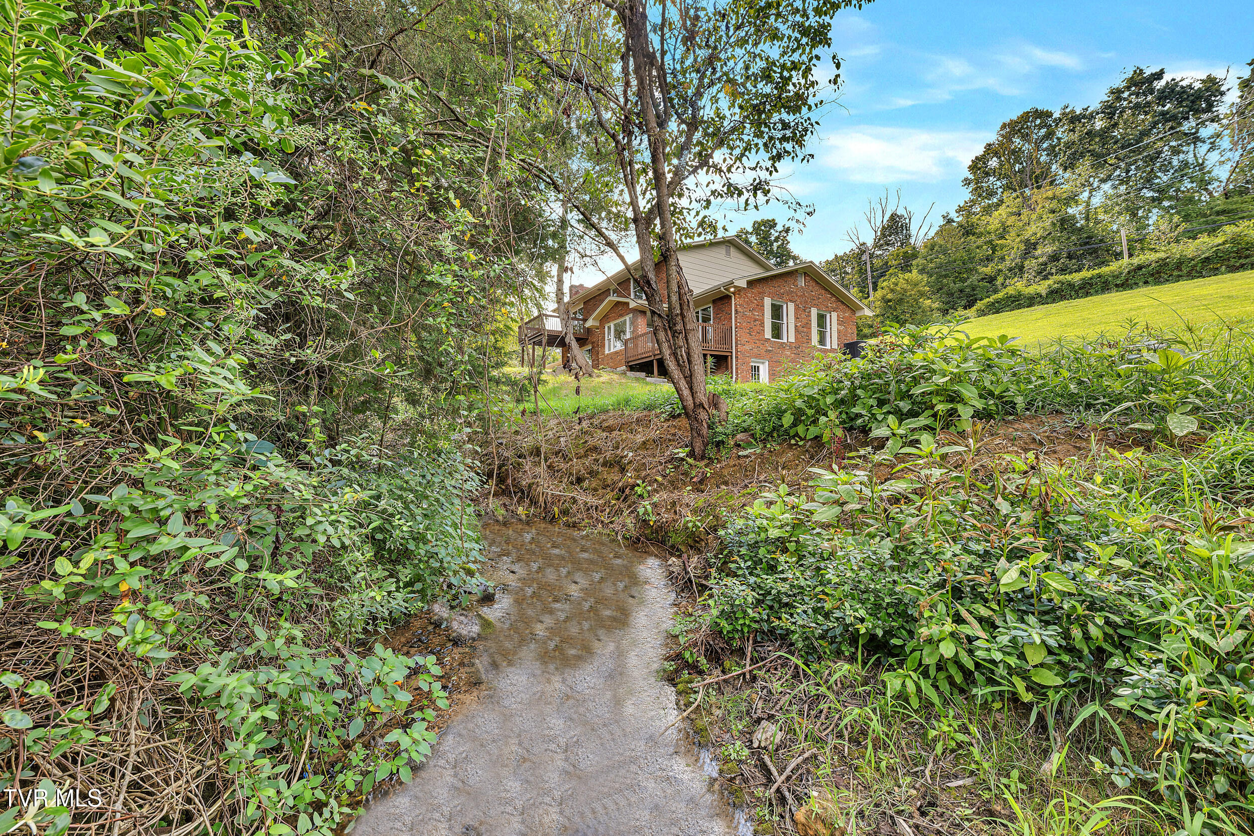 398 Hales Chapel Road Gray, TN 37615 - Photo 59 of 67 59_67