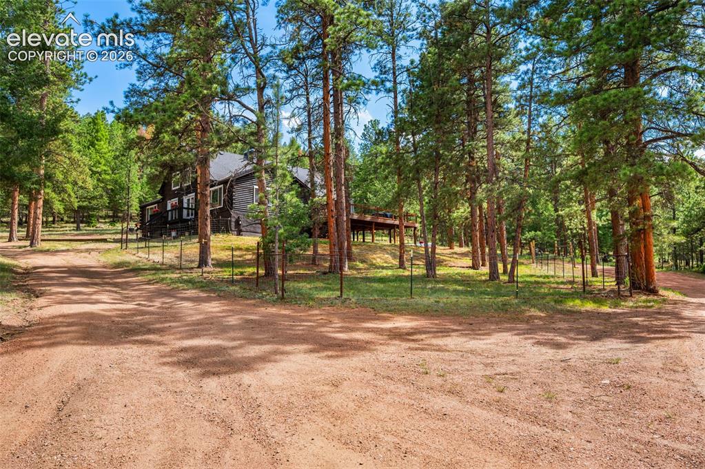 986 Apache Road Florissant, CO 80816 - Photo 39 of 50 coming up driveway