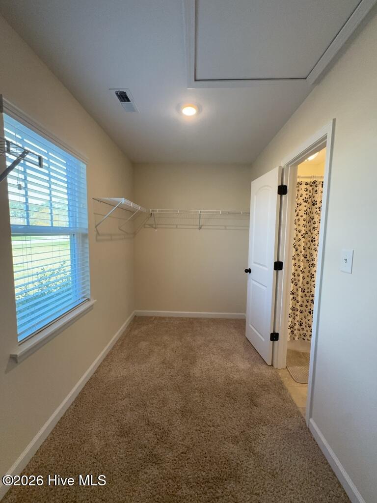 101 Barnhouse Road Jacksonville, NC 28546 - Photo 19 of 31 Primary Closet