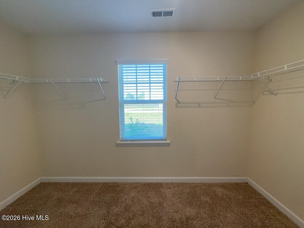 101 Barnhouse Road Jacksonville, NC 28546 - Photo 20 of 31 Primary Closet
