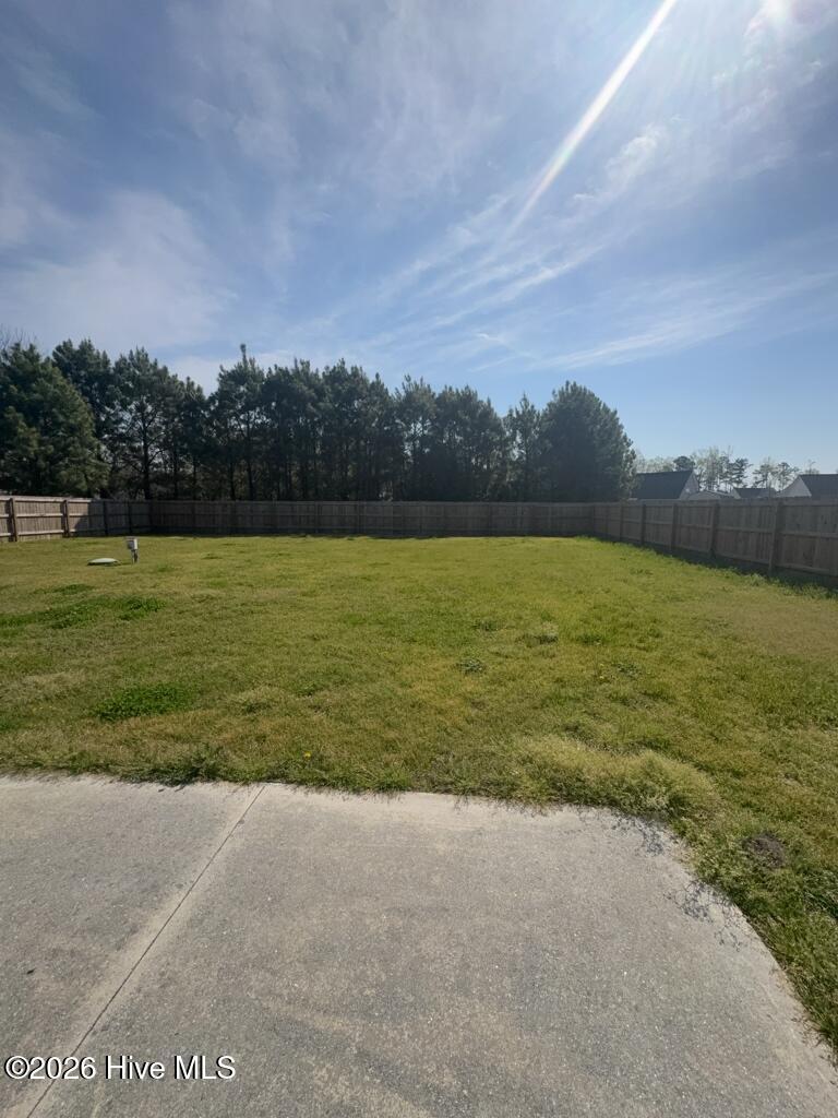 101 Barnhouse Road Jacksonville, NC 28546 - Photo 31 of 31 Backyard