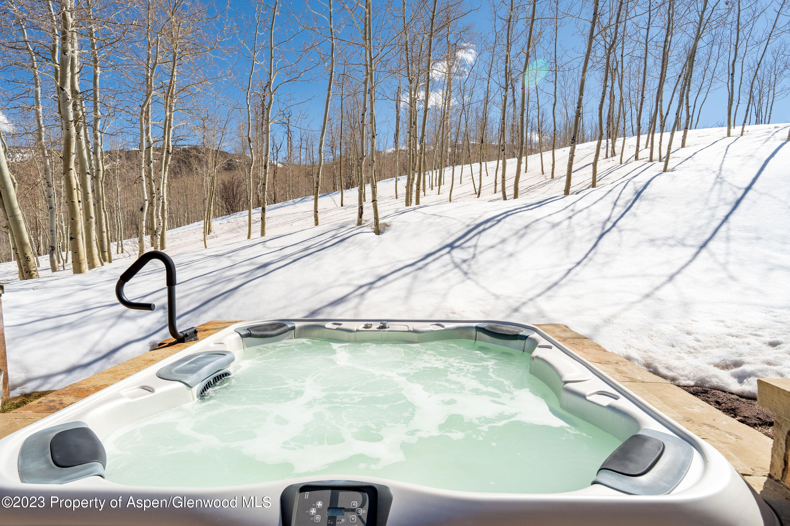 1950 Faraway Road Snowmass Village, CO 81615 - Photo 40 of 56 Shot38