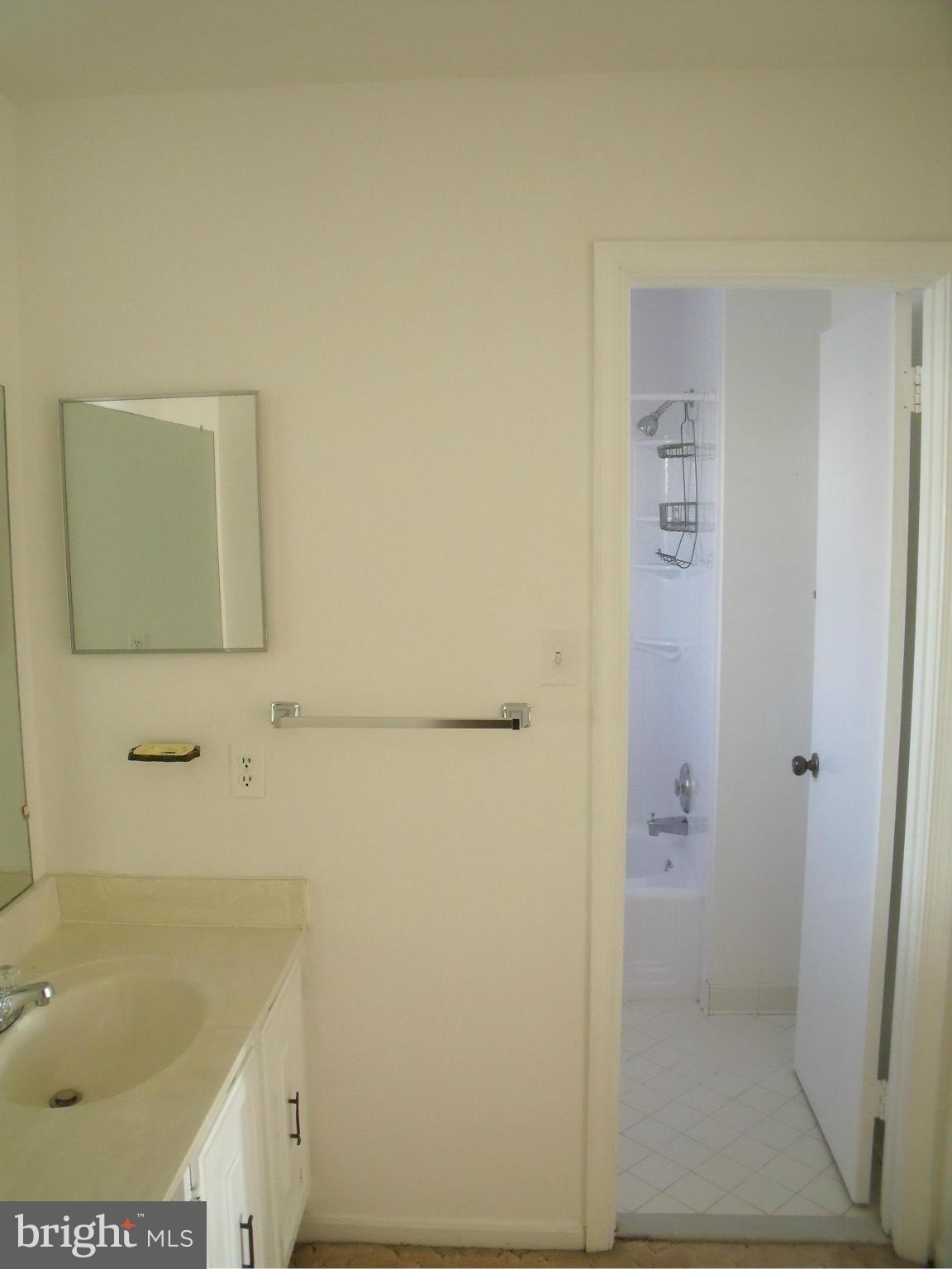8110 Viola Street Springfield, VA 22152 - Photo 17 of 30 Bath (Master)