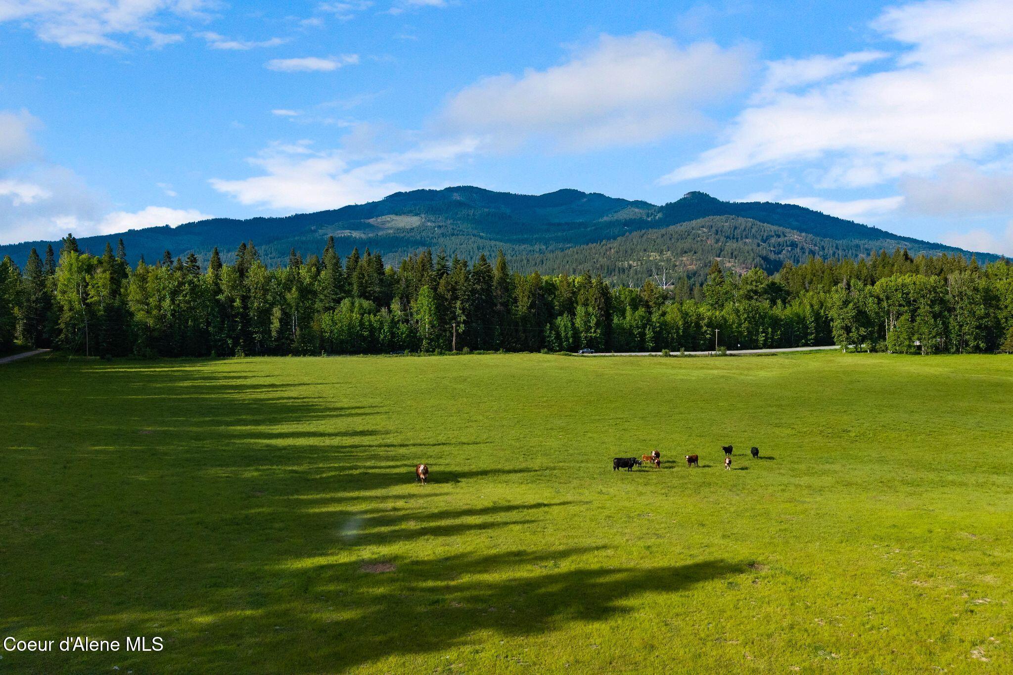 13962 Dufort Road Priest River, ID 83856 - Photo 48 of 85 116_DJI_20260523083505_0806_D