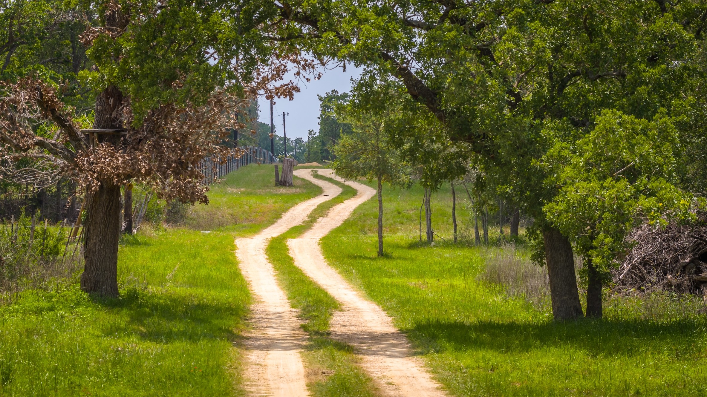 4082 Old Colony Line Road Lockhart, TX 78644 - Photo 31 of 40 A winding dirt path carves through lush green grass, framed by mature trees, leading to a distant horizon.