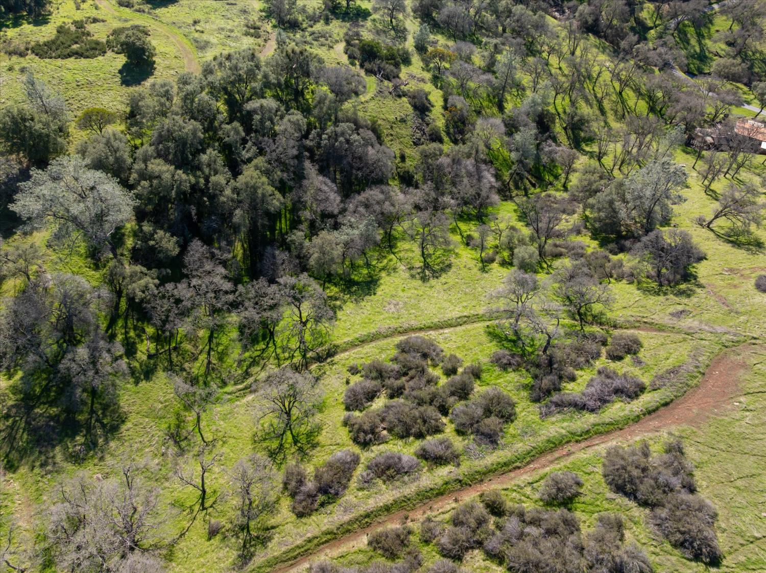 3831 Cothrin Ranch Road Shingle Springs, CA 95682 - Photo 10 of 14