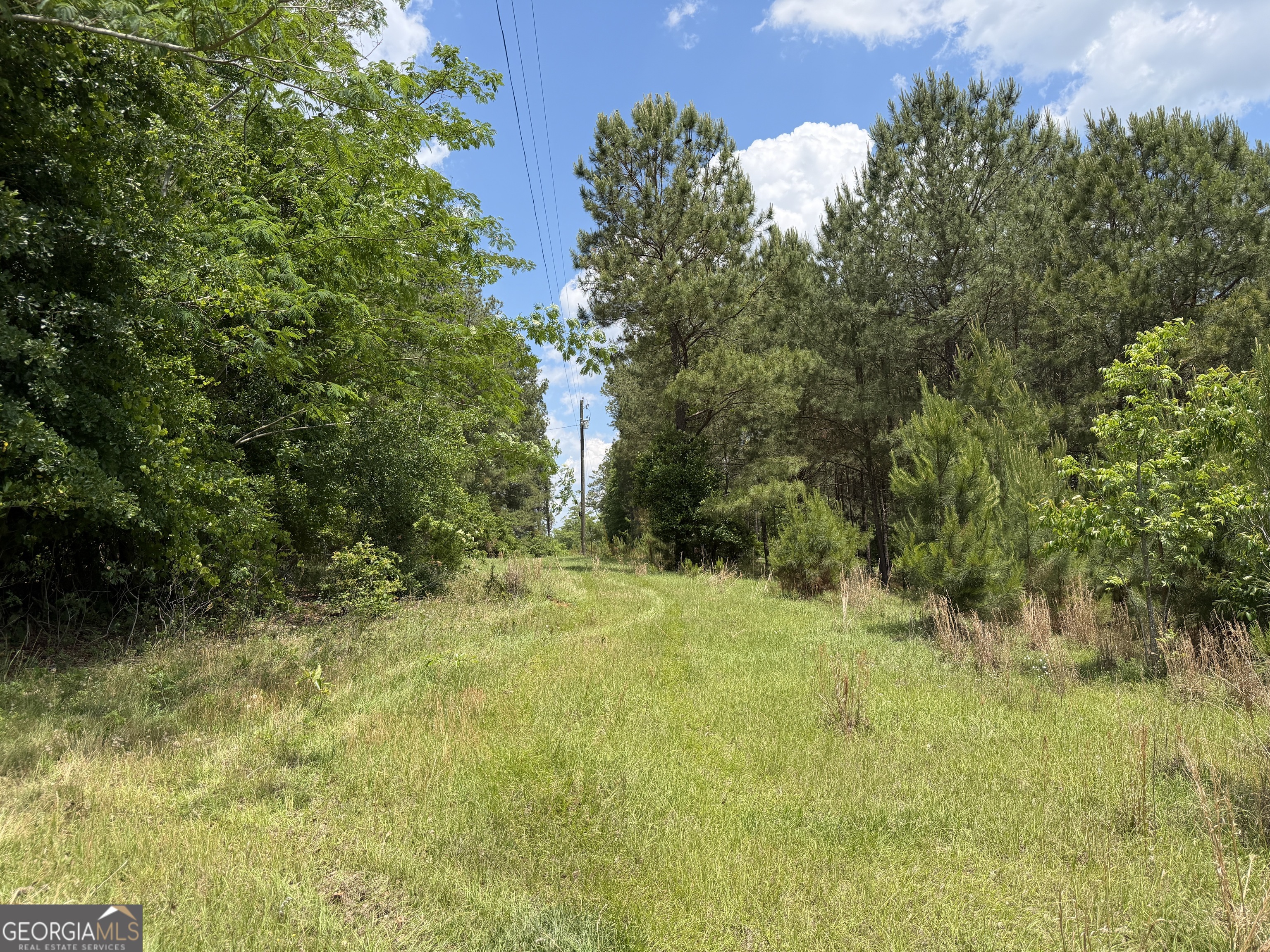 8 Little Sandy Creek Road Toomsboro, GA 31090 - Photo 7 of 12