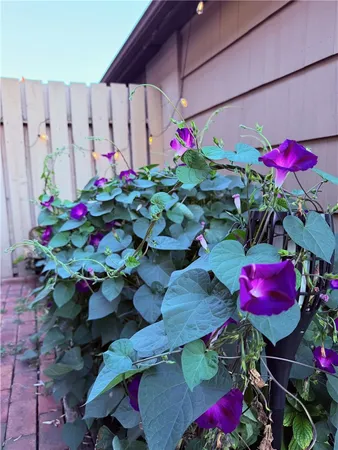 $259,900 | 143 New Wickham Drive, Penfield, NY 14526