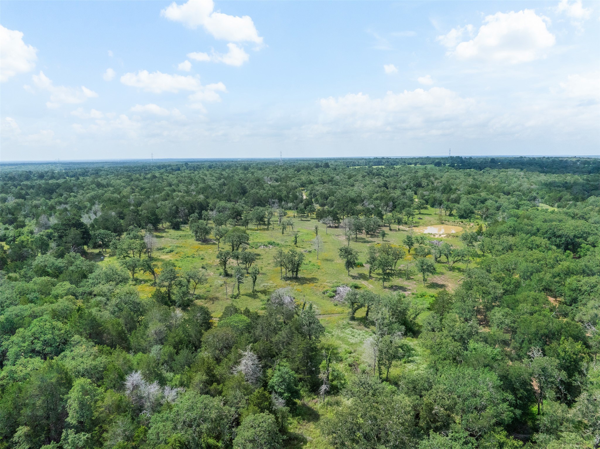 305 Cistern Road Rosanky, TX 78953 - Photo 12 of 13 Vast, verdant landscape offering a private pond and mature tree coverage for ultimate seclusion.