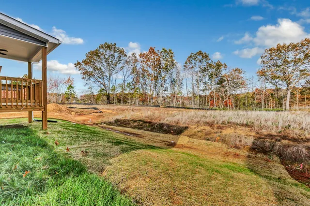 a view of a yard with an trees