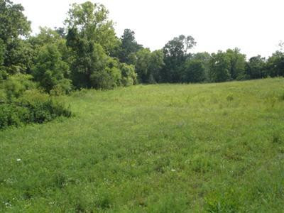 3663 Crowe Ridge Road Winchester, KY 40391 - Photo 5 of 6 Photo 5