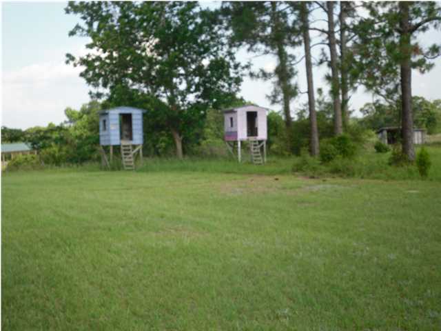1302 Douglas Crossroad Road DeFuniak Springs, FL 32435 - Photo 8 of 10 Gallery Image 8