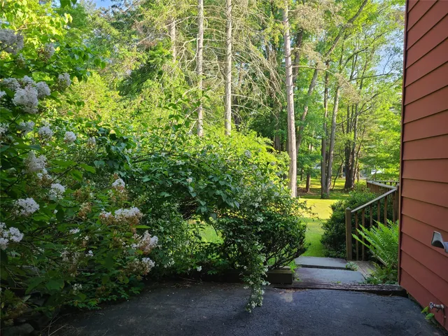 a view of a tree in a yard