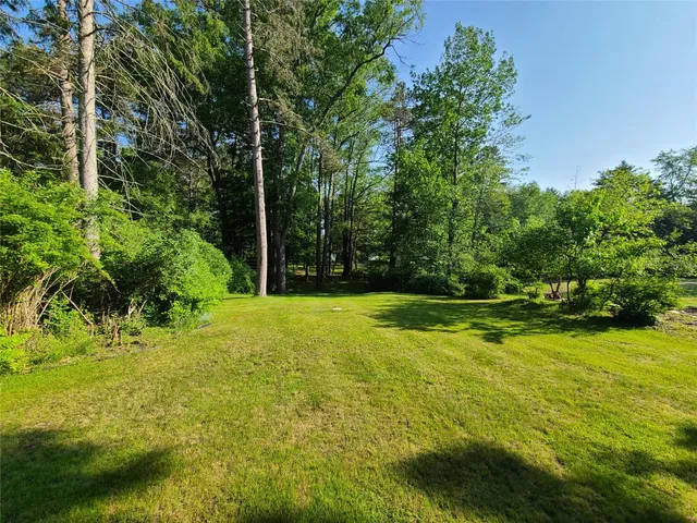 a view of outdoor space with garden and trees