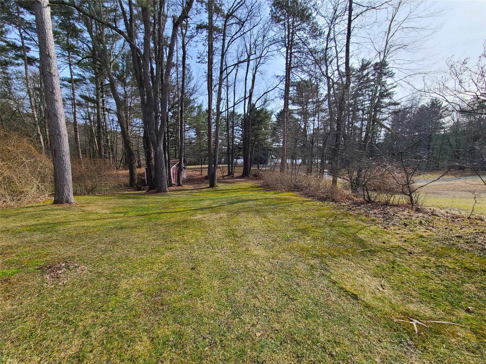493 Old Taylor Road Jeffersonville, NY 12748 - Photo 27 of 35 a view of a tree in a yard