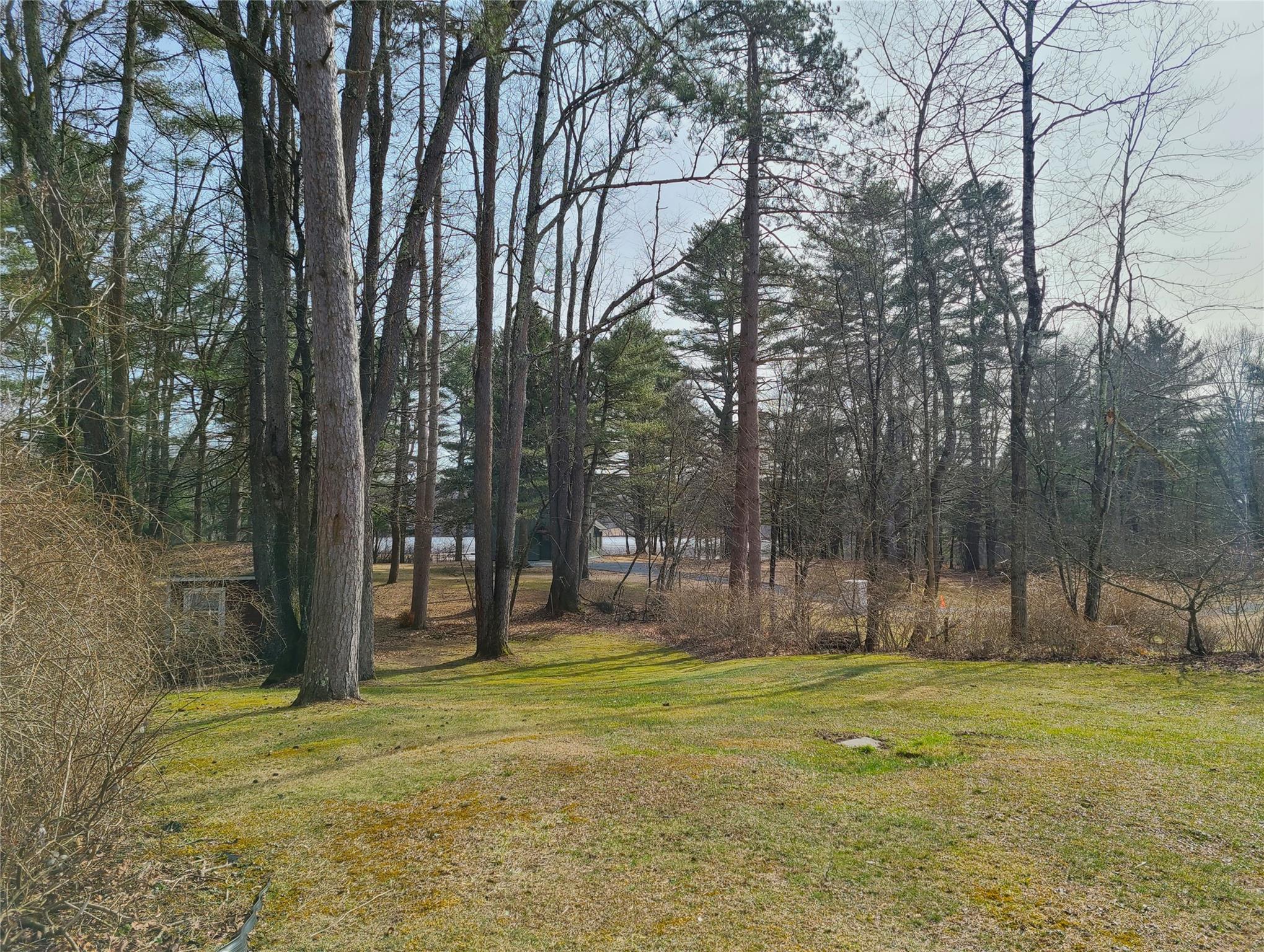 493 Old Taylor Road Jeffersonville, NY 12748 - Photo 28 of 35 a view of outdoor space with garden and trees