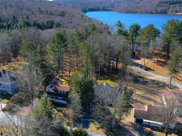 a view of a potted plant