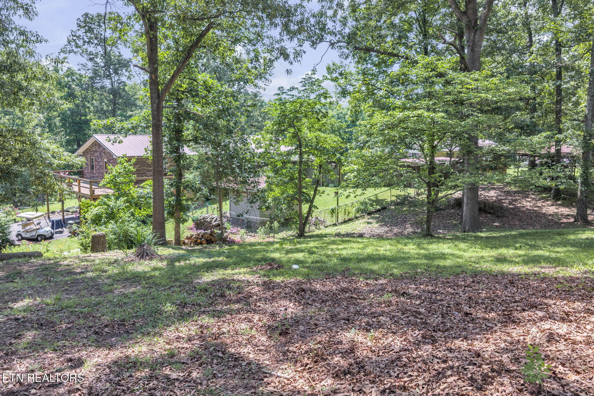 322 Idlewild Drive White Pine, TN 37890 - Photo 4 of 22 2-web-or-mls-Idlewild--11