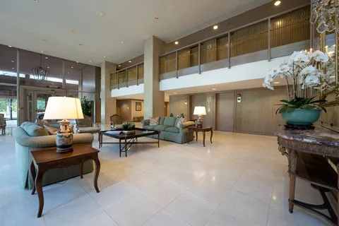 a view of a street with a tree