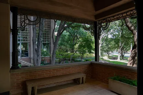 a view of a backyard with plants and a garden