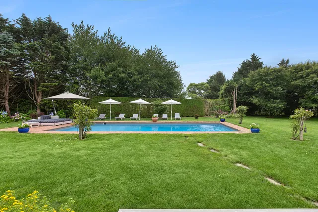 a view of a park with large trees