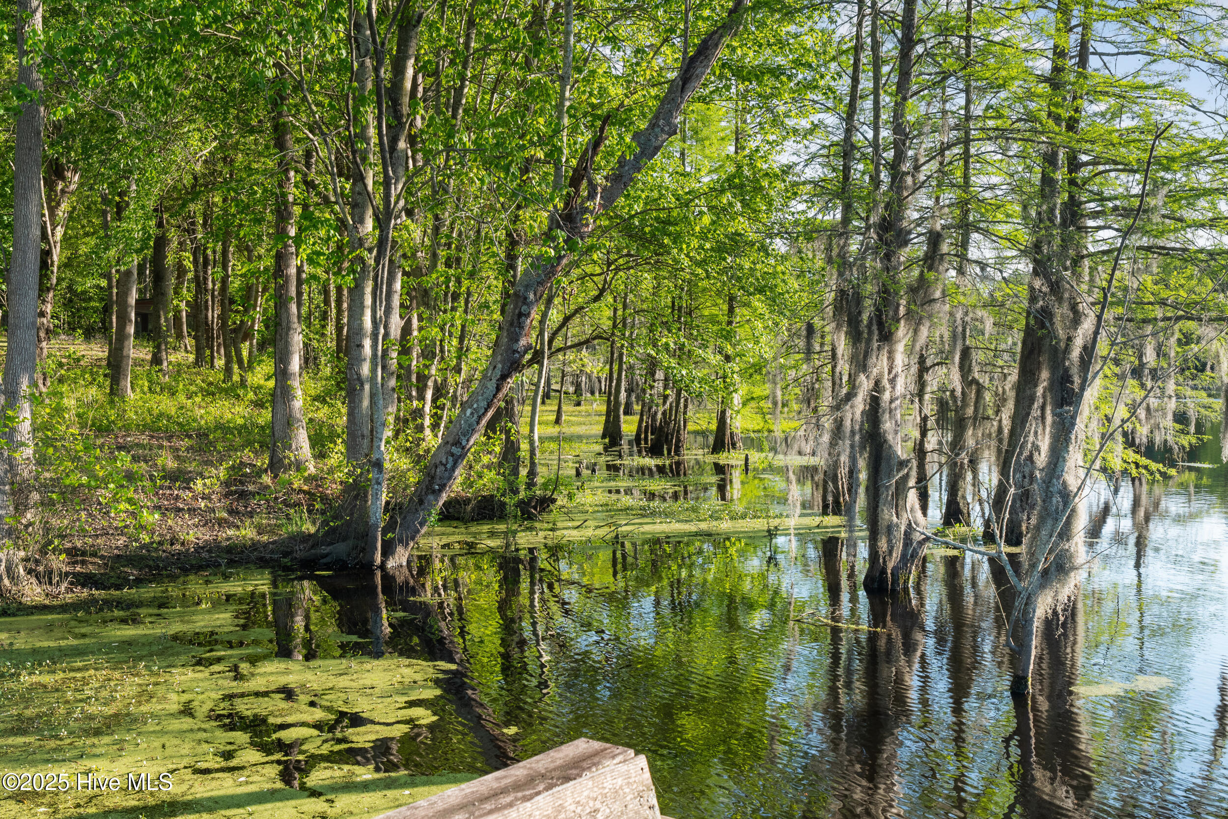 322 Dillard's Mill Road Tyner, NC 27980 - Photo 60 of 67 65.