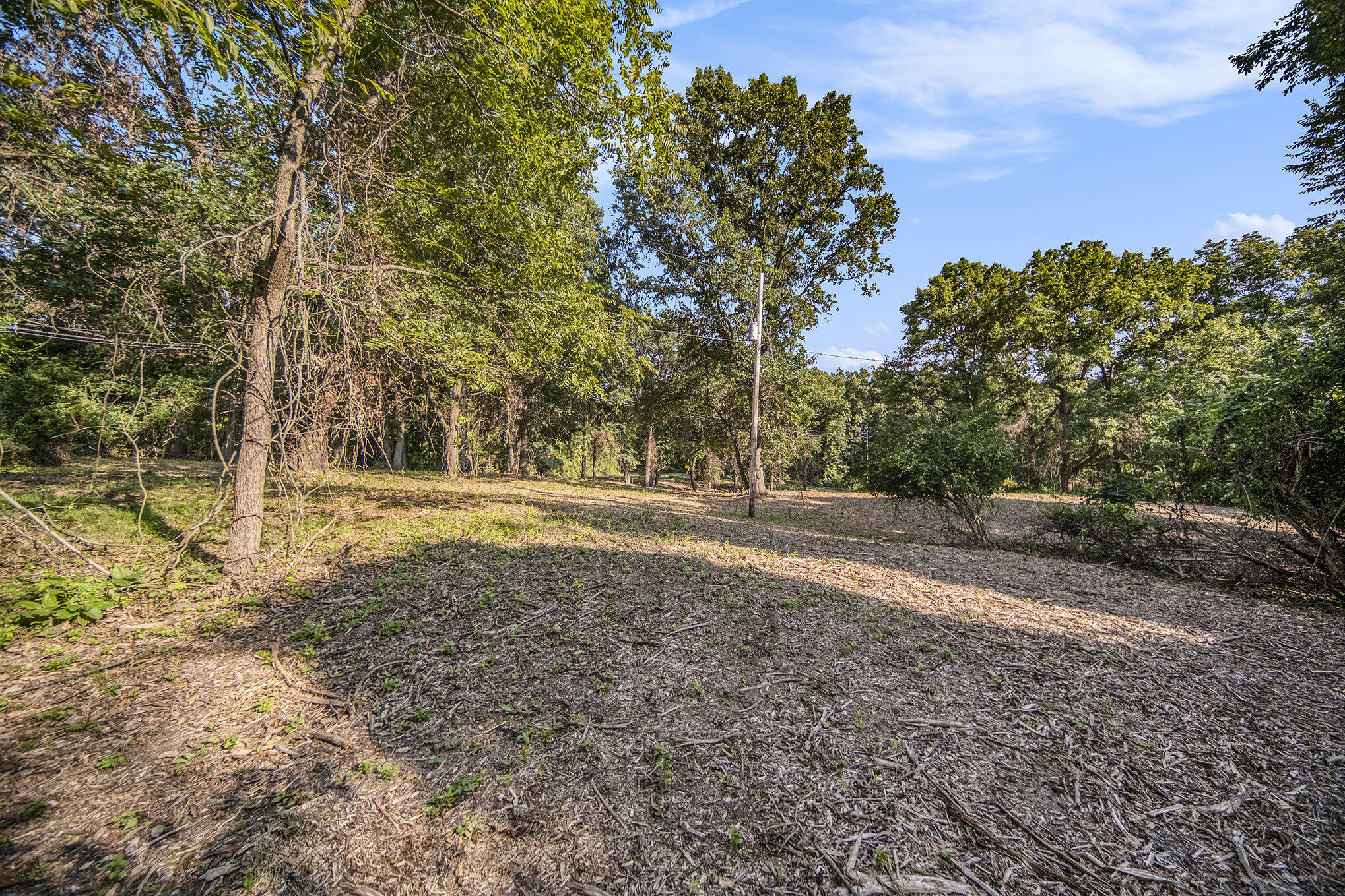 0 Beeman Road Grass Lake, MI 49240 - Photo 11 of 19 011_sbp_309