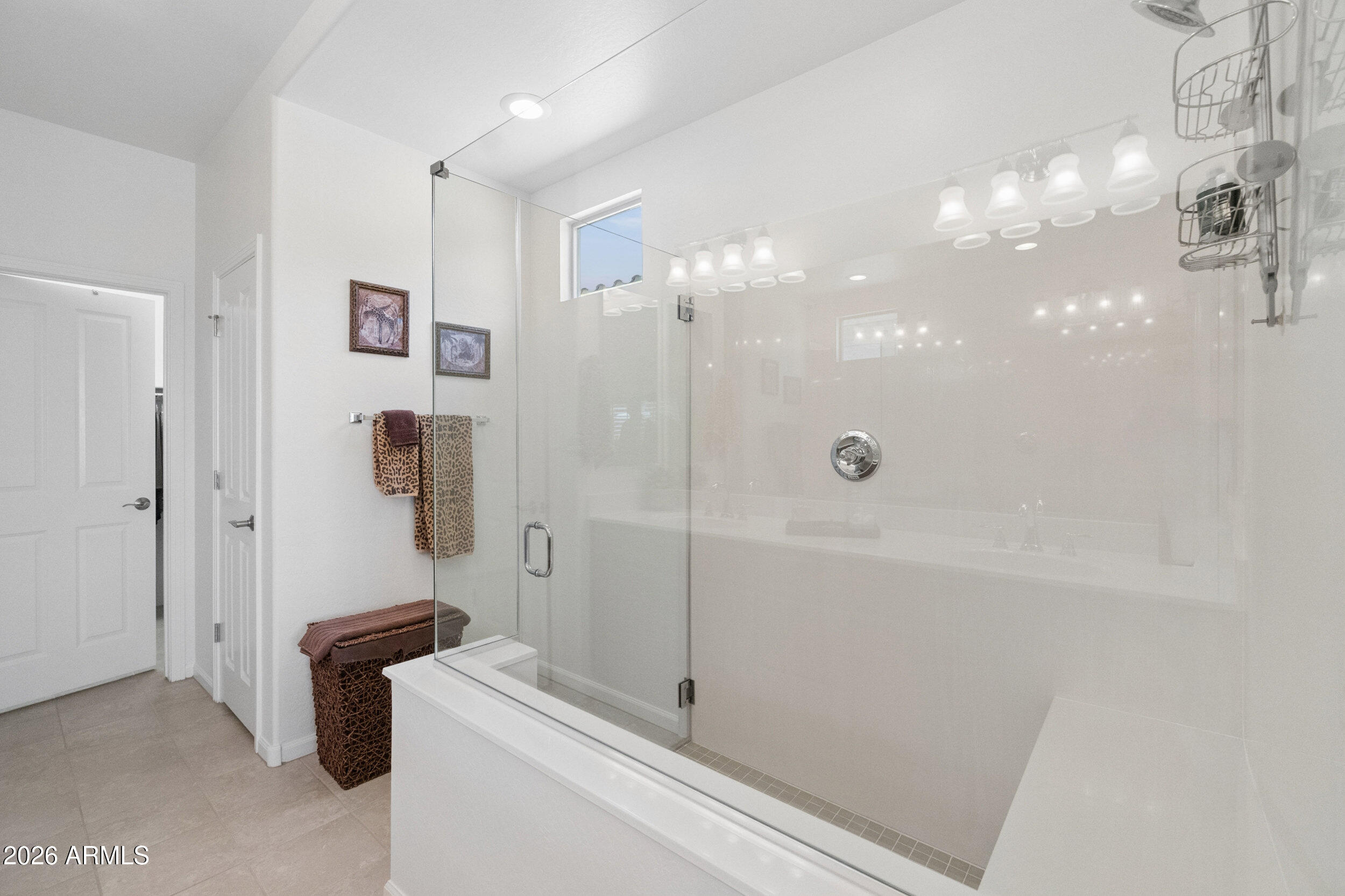 16339 Piccadilly Road Goodyear, AZ 85395 - Photo 17 of 34 Walk-in Shower