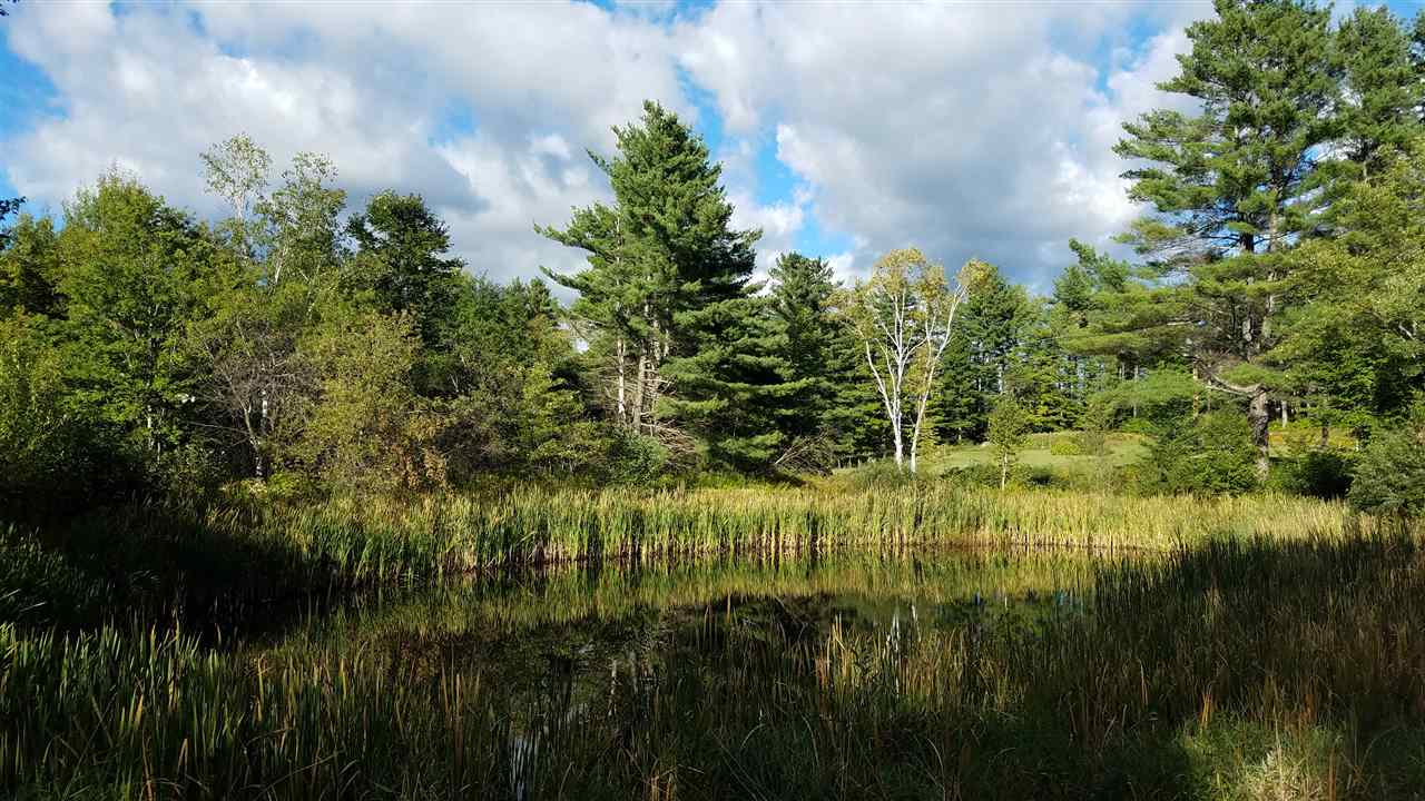 Cross Road Wentworth, NH 03282 - Photo 1 of 7
