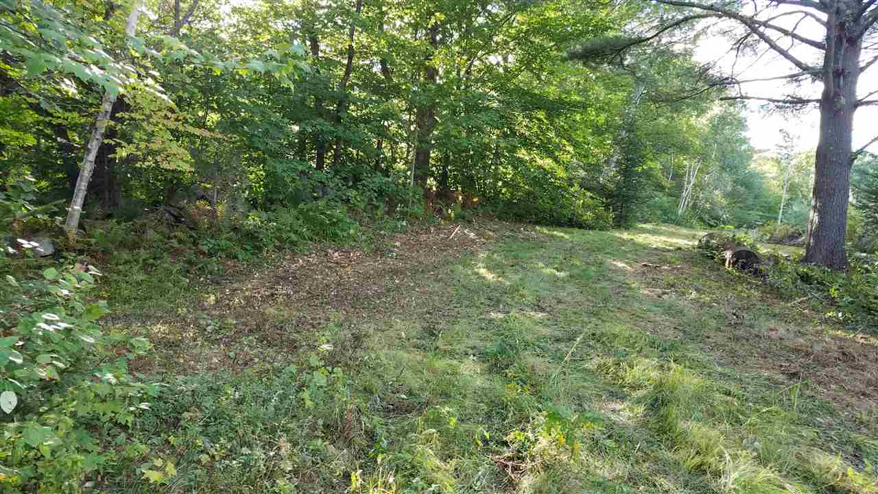 Cross Road Wentworth, NH 03282 - Photo 2 of 7
